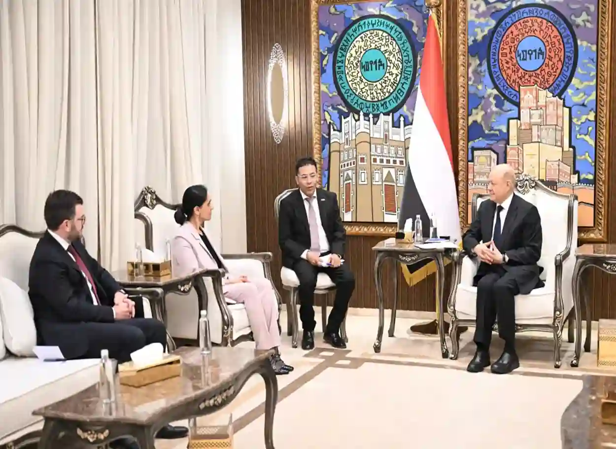 رئيس مجلس القيادة: استعادة الدولة مفتاح تأمين البحر الأحمر وباب المندب