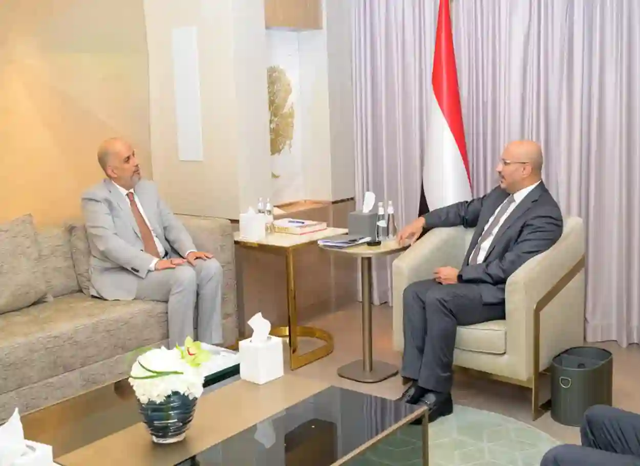 طارق صالح يلتقي وزير المالية ويؤكد دعم الاستقرار المالي والتعافي الاقتصادي