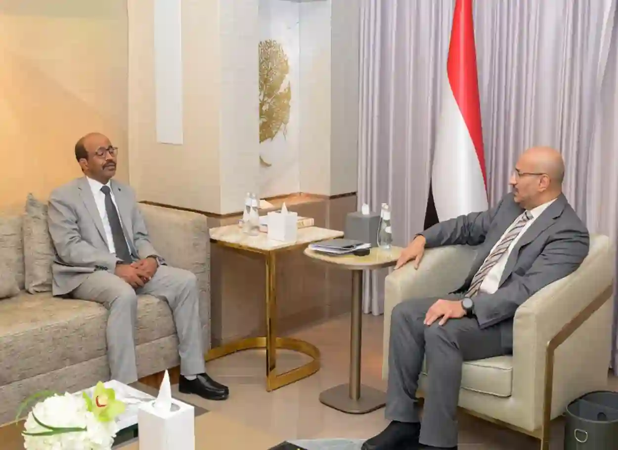 فيديو| طارق صالح يلتقي وزير النفط ويشدد على تطوير القطاع النفطي وتعزيز الشفافية