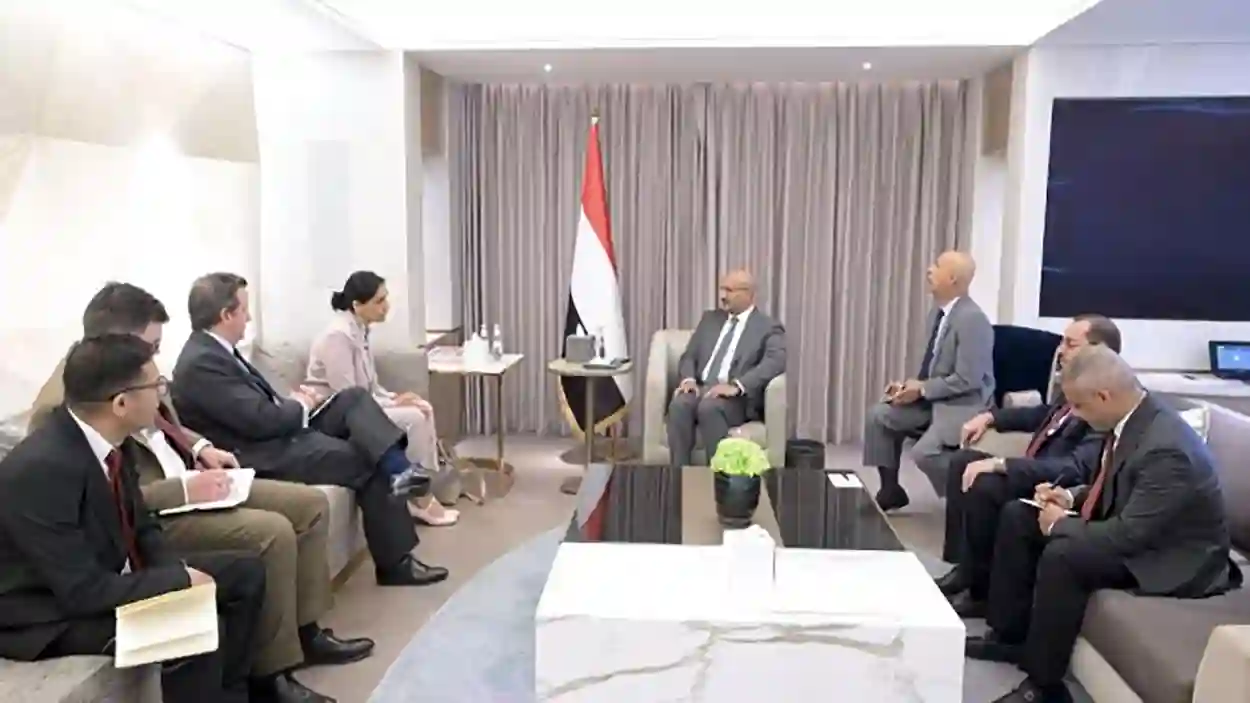 السفيرة البريطانية تشيد بجهود طارق صالح في "تعزيز الأمن والاستقرار السياسي"