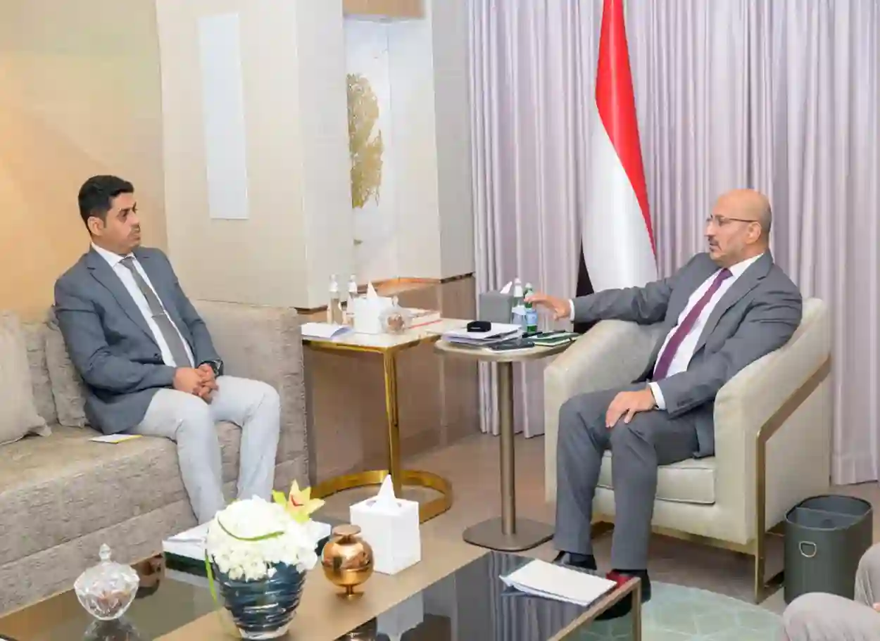 فيديو| طارق صالح يؤكد خلال لقائه وزير حقوق الإنسان أولوية توثيق الانتهاكات وترسيخ دولة النظام والقانون