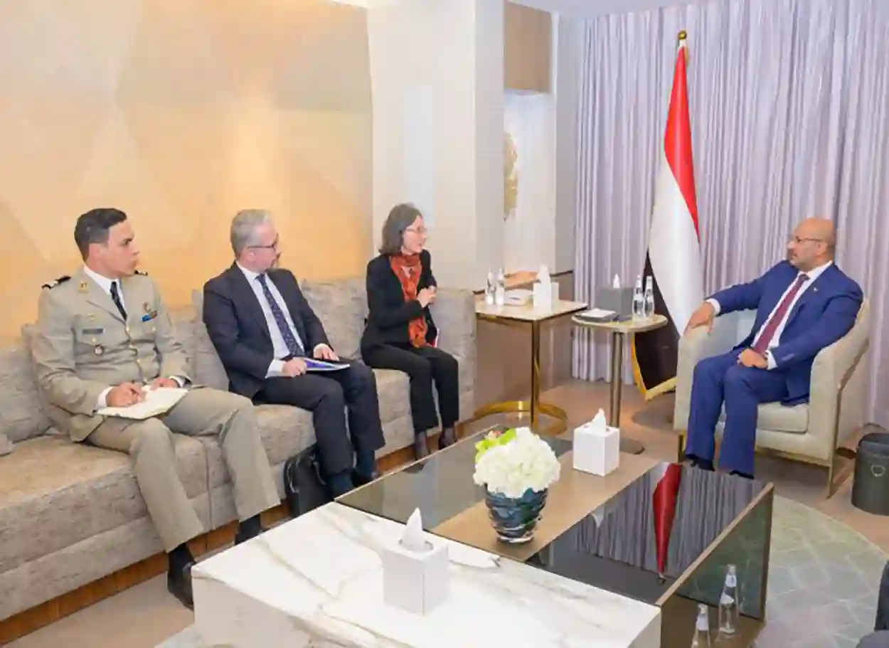 فيديو| طارق صالح يبحث مع السفيرة الفرنسية مستجدات الأوضاع وتأمين الملاحة الدولية