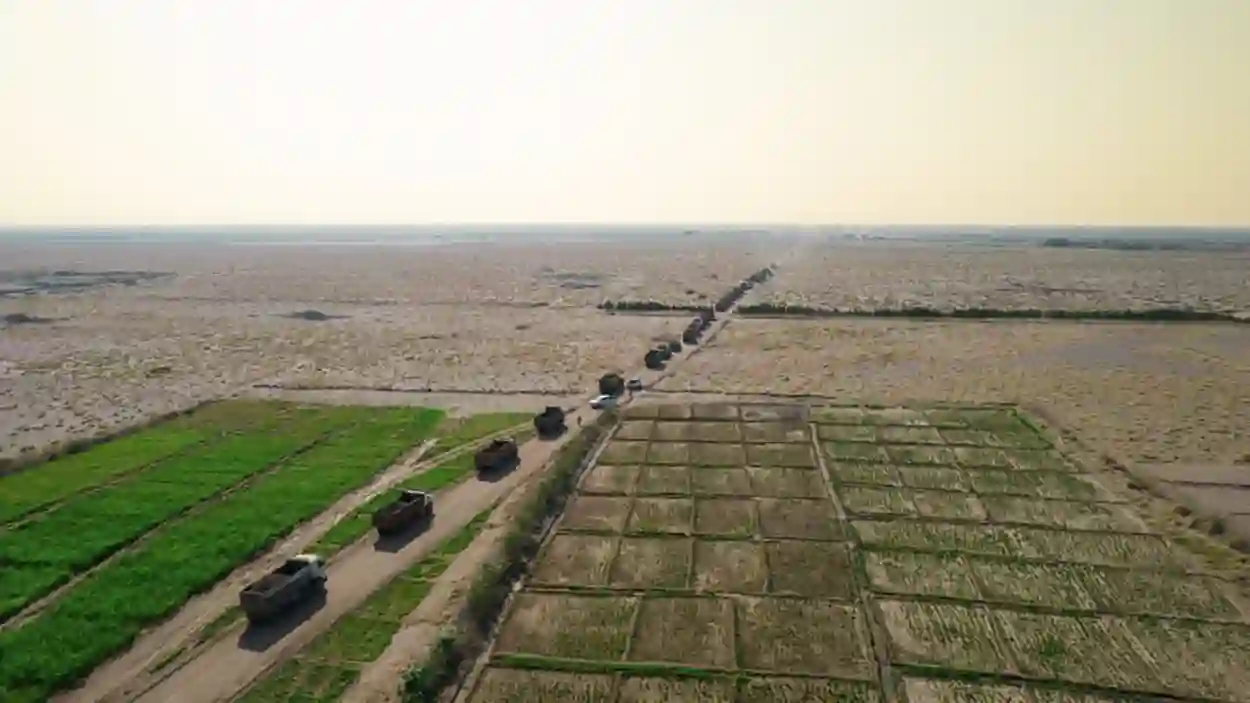 صور| طريق النصر الزراعي.. شريان التنمية في الساحل الغربي
