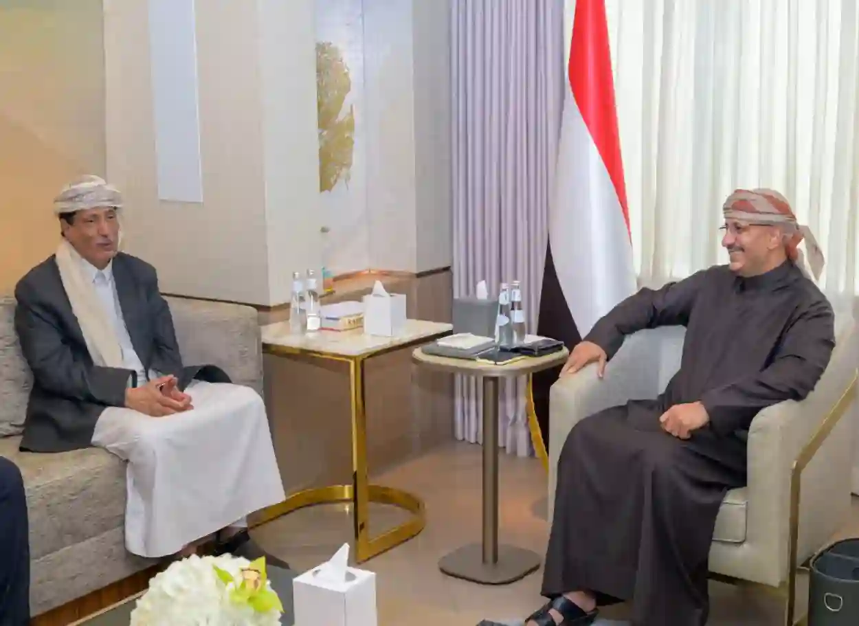 طارق صالح يبحث مع محافظ المهرة التحديات الأمنية والخدمية وتعزيز الاستقرار
