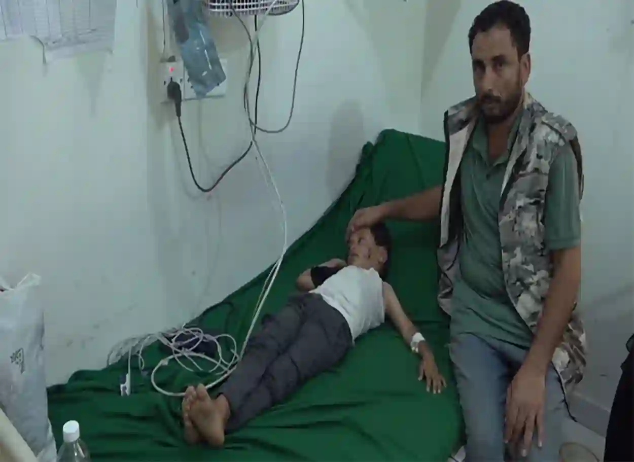سكان تعز يطالبون الحكومة باتخاذ إجراءات عاجلة لمكافحة انتشار الكلاب الضالة